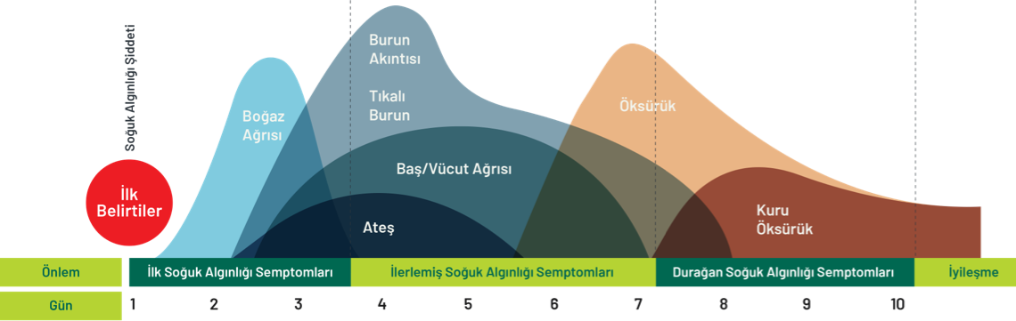 Soğuk algınlığı belirti ve zaman grafiği